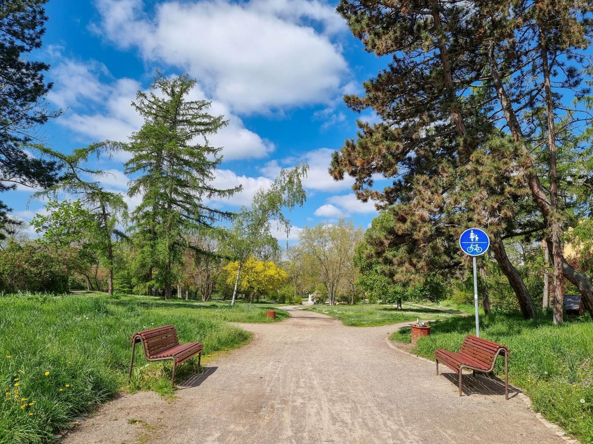 Ferienwohnung Am Stadtpark Naumburg  Buitenkant foto